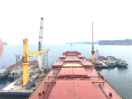 Cảng Quảng Ninh duy trì vị trí số 1 miền Bắc trong tiếp nhận tàu nhập khẩu nông sản