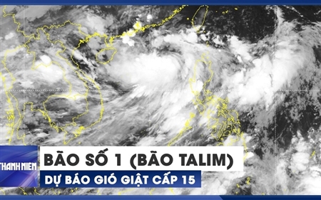 Tin bão khẩn cấp: Cơn bão số 1 (Bão TALIM)