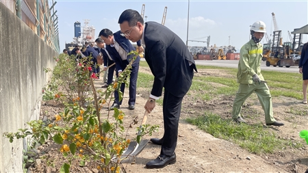 Cảng Quảng Ninh phát động Tết trồng cây Xuân Giáp Thìn 2024