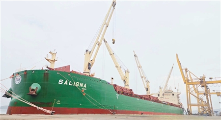 CẢNG QUẢNG NINH ĐÓN CHUYẾN TÀU SALIGNA CHỞ HÀNG BỘT GIẤY - KHỞI ĐẦU SÔI NỔI NHỮNG NGÀY ĐẦU XUÂN BÍNH NGỌ 2026