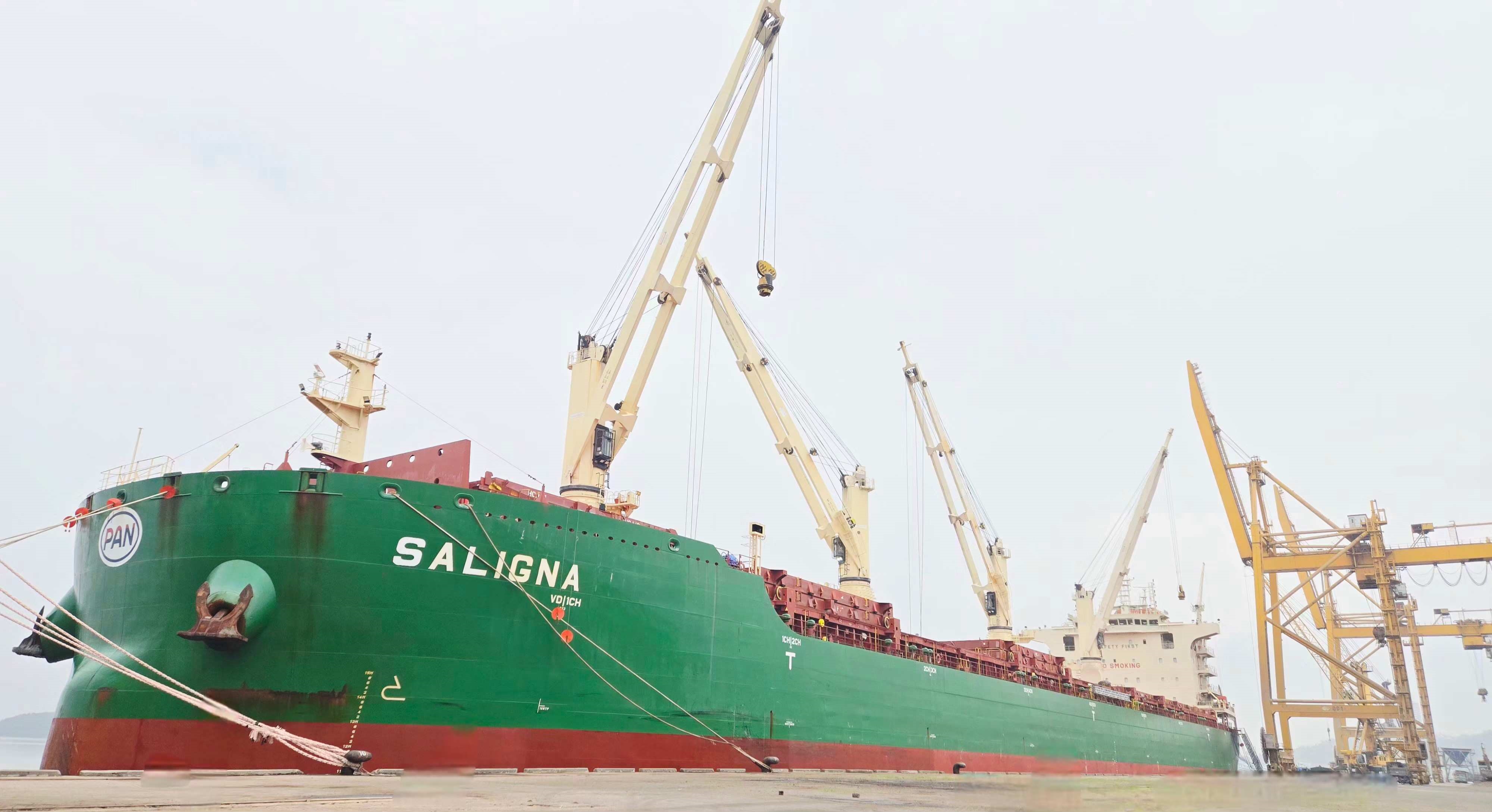 CẢNG QUẢNG NINH ĐÓN CHUYẾN TÀU SALIGNA CHỞ HÀNG BỘT GIẤY - KHỞI ĐẦU SÔI NỔI NHỮNG NGÀY ĐẦU XUÂN BÍNH NGỌ 2026